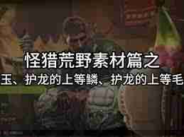 怪物猎人荒野：如何获取护龙的上等毛皮及其作用-怪物猎人荒野护龙上等毛皮获取技巧与功能详解  第2张