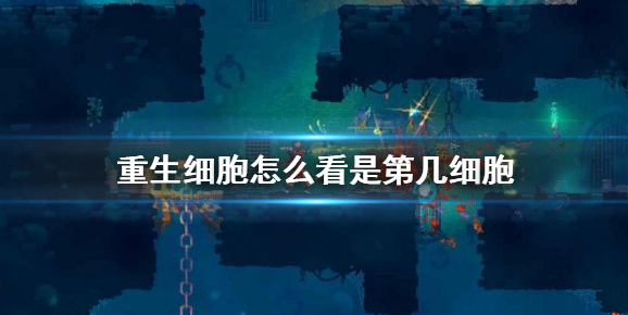 重生细胞怎么看自己是几细胞 游戏阶段查看方法  第1张