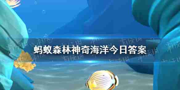 以下哪种海洋生物通常固着在海底生活 神奇海洋3月30日答案  第1张