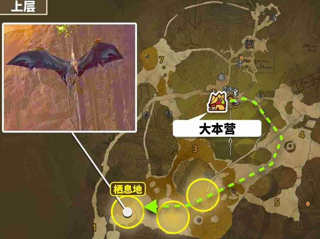 怪物猎人荒野翼龙的皮怎么出  第1张