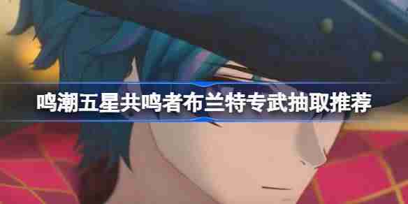 鸣潮五星共鸣者布兰特专武抽取推荐 鸣潮五星共鸣者布兰特专武是否值得入手  第1张