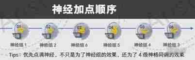 尘白禁区恩雅澜风神经加点攻略-尘白禁区如何为恩雅澜风神经分配属性点  第1张