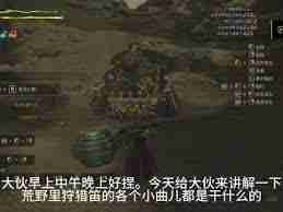 怪物猎人荒野狩猎笛旋律效果如何-怪物猎人荒野狩猎笛旋律功能详解  第1张