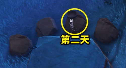 原神喂猫成就怎么解锁 原神喂猫成就解锁攻略  第4张