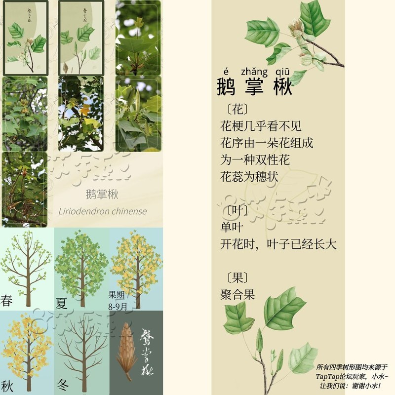 老农种树四季树种答案大全  第34张
