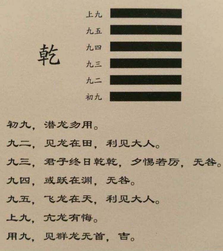 离火之境飞龙在天与九紫离火合区玄机  第1张