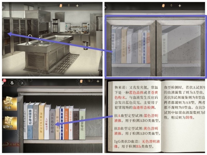 谜境第四章血色蔷薇攻略  第17张