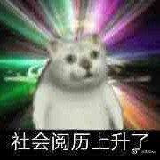 阴阳师结界突破全阵容合集  第20张