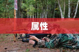 托拉姆物语：属性强化打造指南  第1张